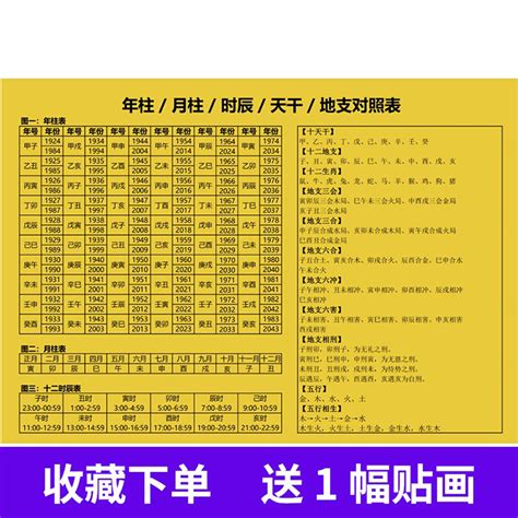 天干和地支|详解天干地支